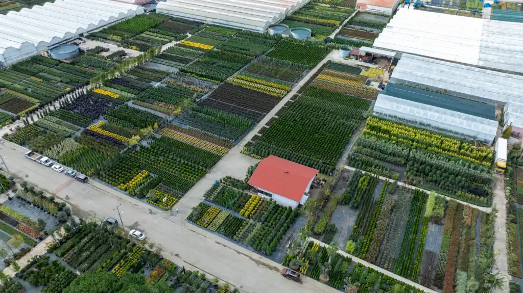 工业电机启动冲击电流过大？软启动器与变频器选型方案对比分析