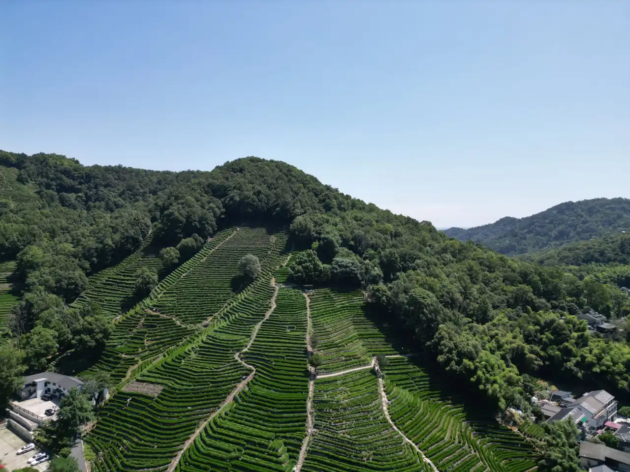 变频器与软启动器在电机启动冲击抑制中的技术对比
