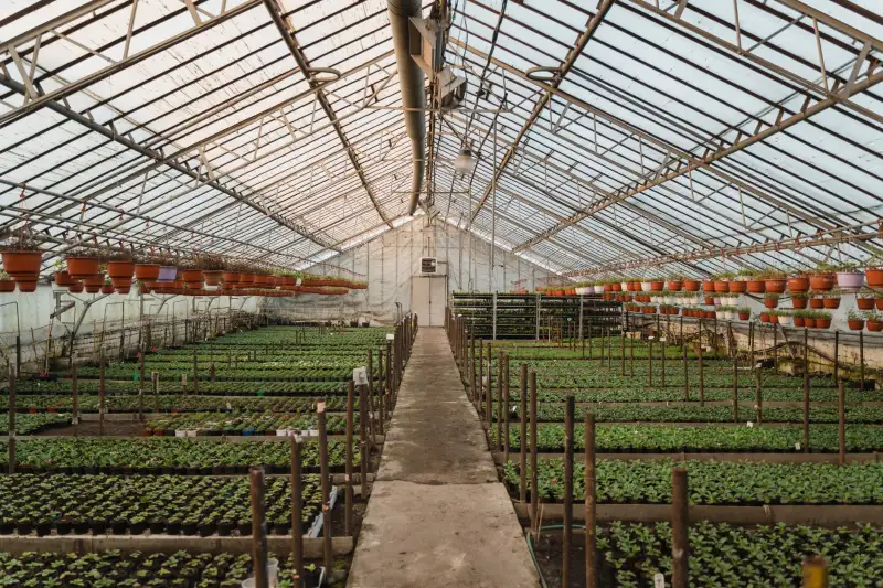 电机启动器行业标准更新对工业设备选型的影响解析