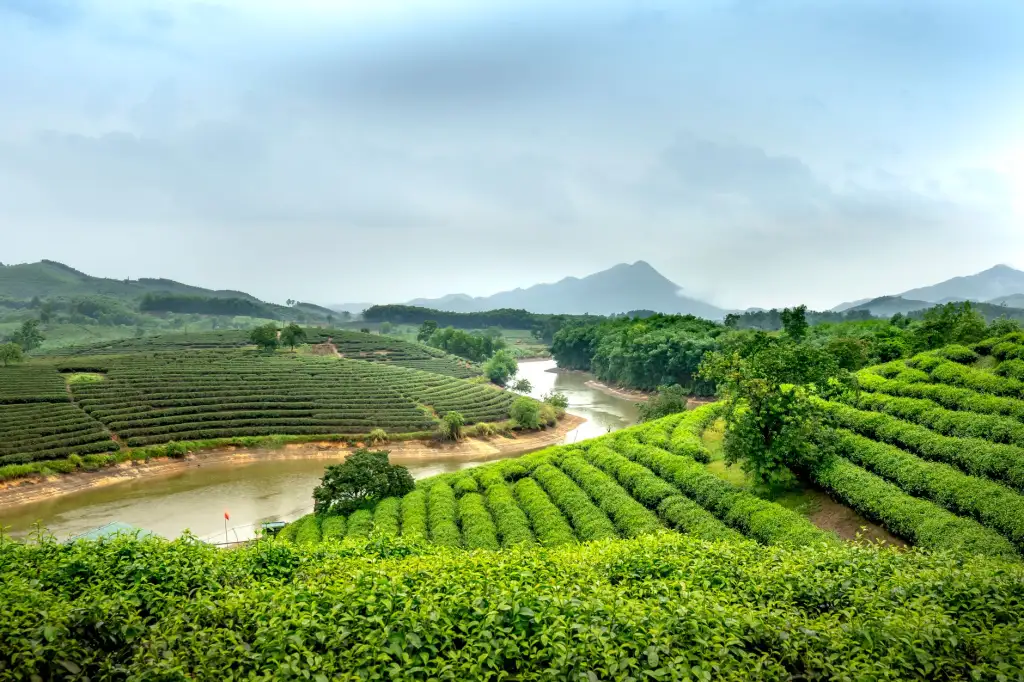 电机启动器与变频器在风机水泵调速场景中的选型对比分析