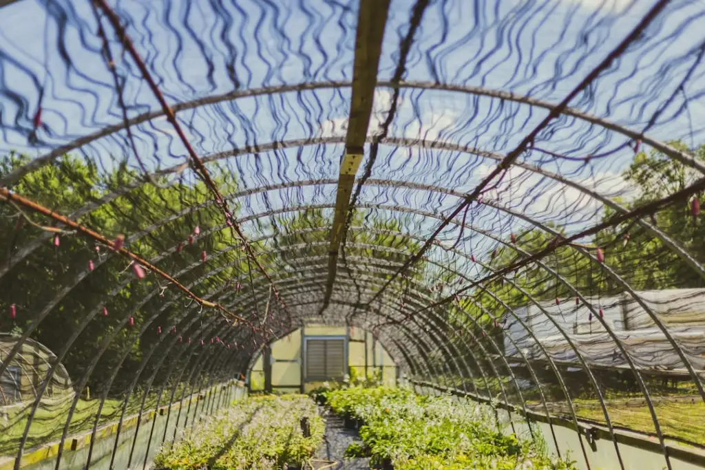 2025年工业电机启动保护技术趋势：软启动器智能化发展观察