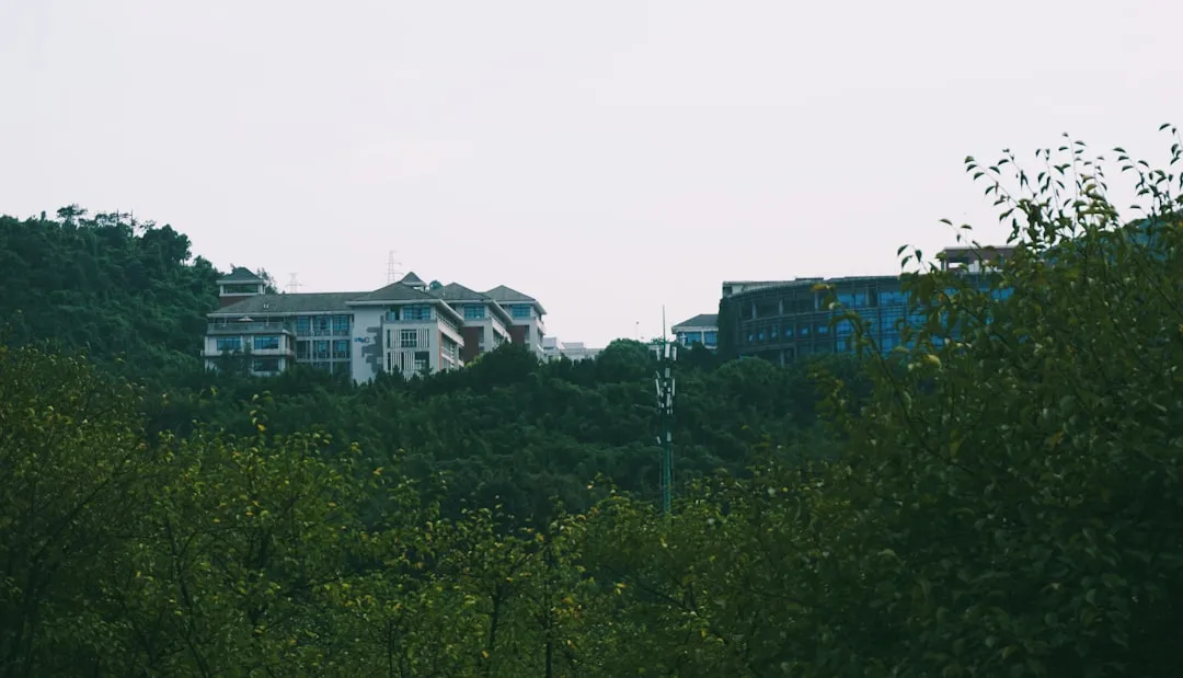 变频器与软启动器在风机水泵应用中的技术选型对比