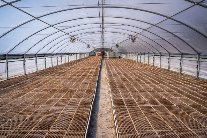 变频器与软启动器对比：不同负载工况下的调速与启动方案选择
